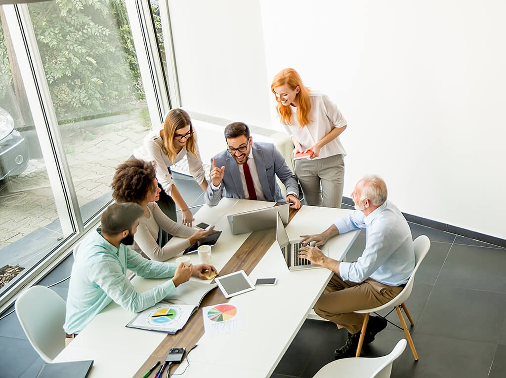 Equipo trabajando en desarrollo web